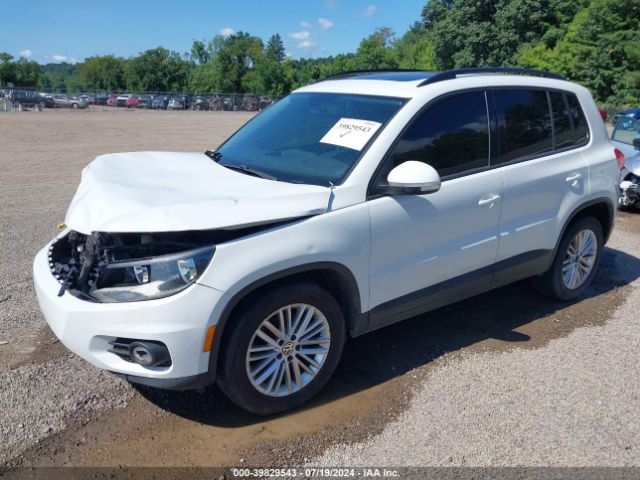WVGJV7AX4GW516066 Volkswagen Tiguan