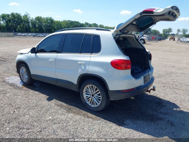 WVGJV7AX4GW516066 Volkswagen Tiguan