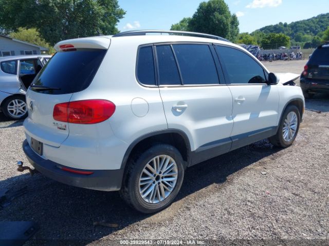 WVGJV7AX4GW516066 Volkswagen Tiguan