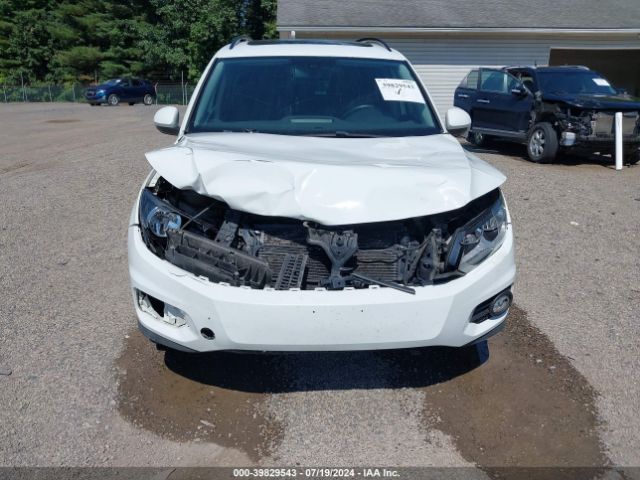 WVGJV7AX4GW516066 Volkswagen Tiguan
