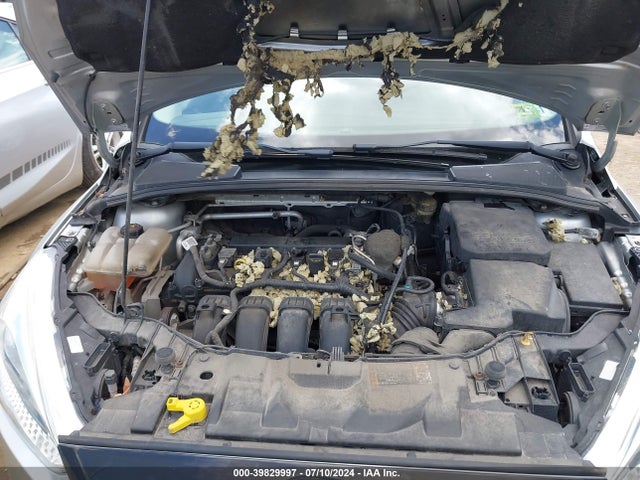 Ford FOCUS SE 2015 1FADP3F22FL260422 Image 10