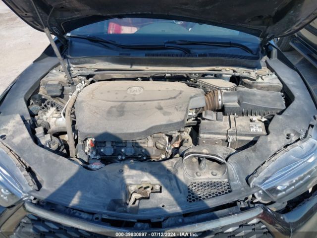 19UUB2F6XKA006891 Acura Tlx Tech   A-spec Pkgs