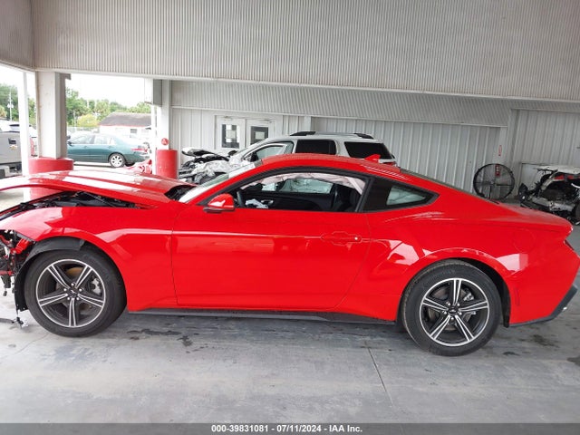 Ford Mustang Ecoboost Fastback 2024 1FA6P8TH4R5126468 Image 15