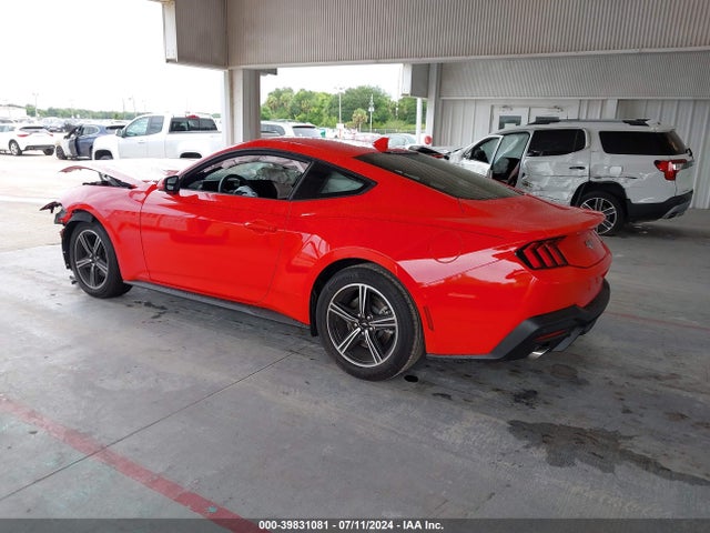 Ford Mustang Ecoboost Fastback 2024 1FA6P8TH4R5126468 Image 3