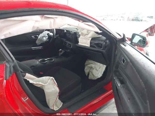 Ford Mustang Ecoboost Fastback 2024 1FA6P8TH4R5126468 Image 5