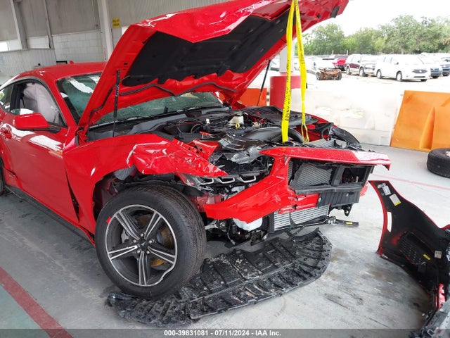 Ford Mustang Ecoboost Fastback 2024 1FA6P8TH4R5126468 Image 6