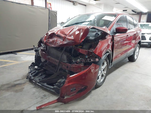 Ford ESCAPE SE 2016 1FMCU0G75GUC12170 Image 2
