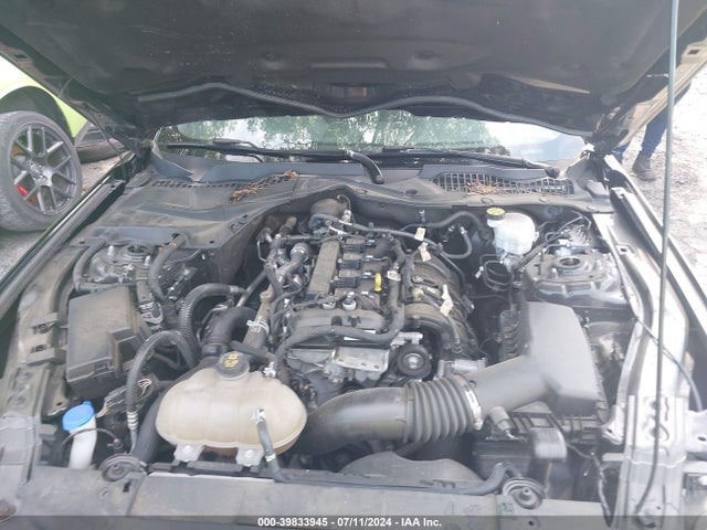Ford Mustang Ecoboost Fastback 2021 1FA6P8TH6M5157844 Image 10