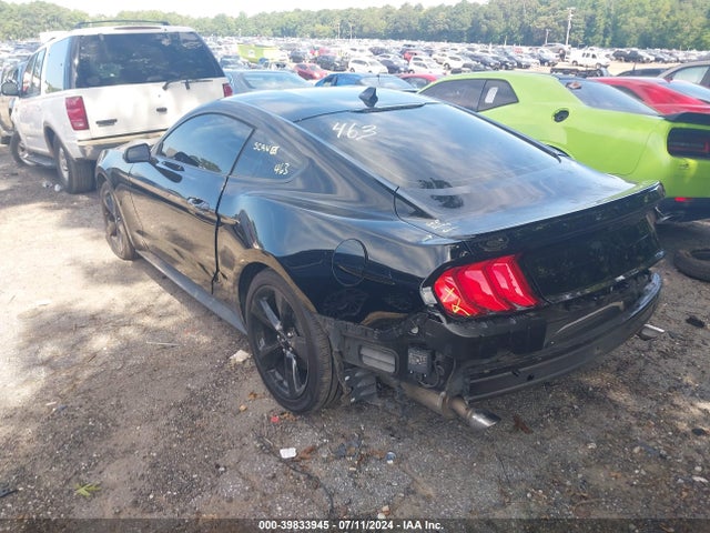 Ford Mustang Ecoboost Fastback 2021 1FA6P8TH6M5157844 Image 3