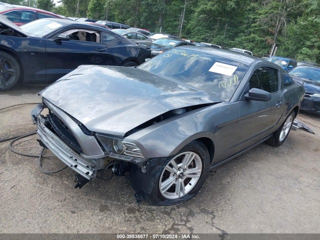 Ford Mustang V6 2014 1ZVBP8AM1E5240850 Image 2