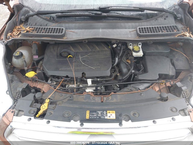 Ford ESCAPE SE 2017 1FMCU0GD1HUA36340 Image 10