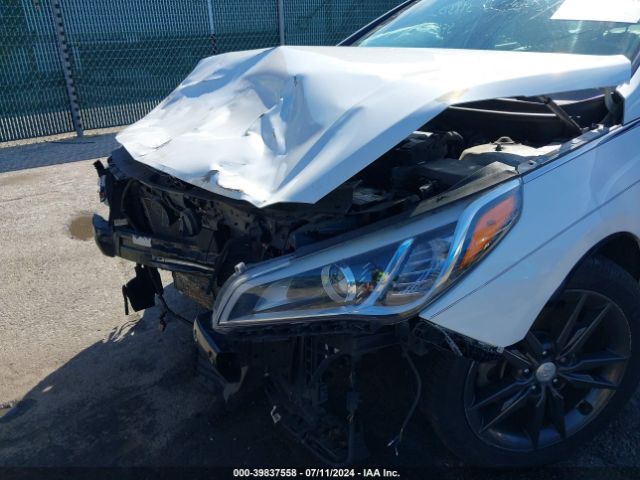 5NPE34AB1FH045805 Hyundai Sonata Sport 2.0t