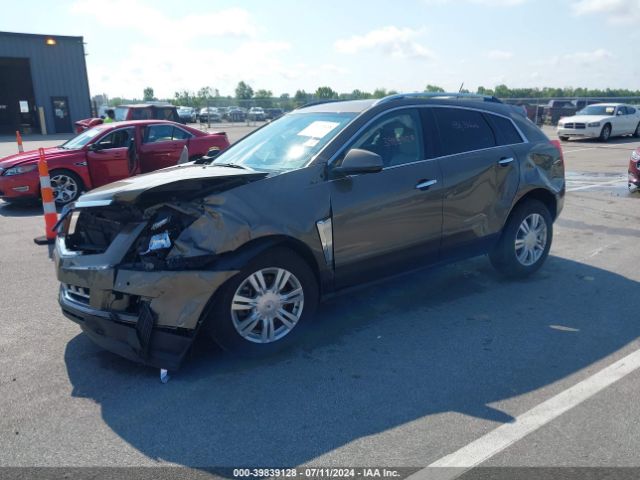 3GYFNBE3XGS511433 Cadillac Srx Luxury Collection
