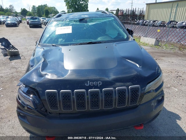 1C4PJMBXXLD614161 Jeep Cherokee Trailhawk 4x4