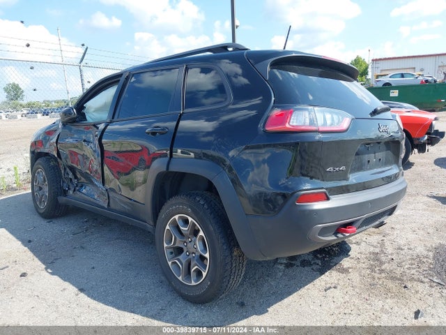 1C4PJMBXXLD614161 Jeep Cherokee Trailhawk 4x4