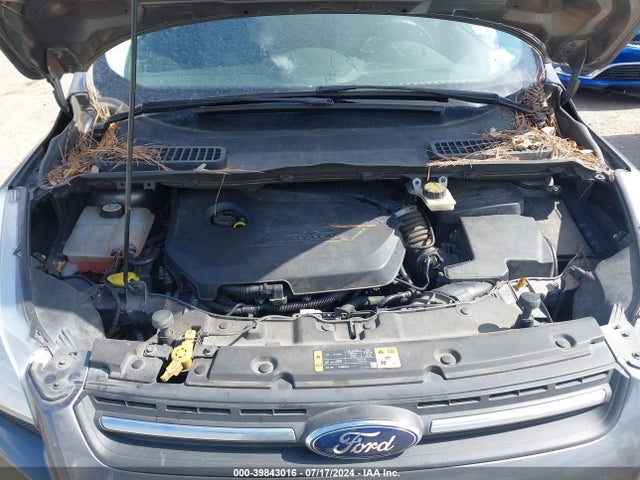 Ford ESCAPE SE 2014 1FMCU0GX3EUE25342 Image 10
