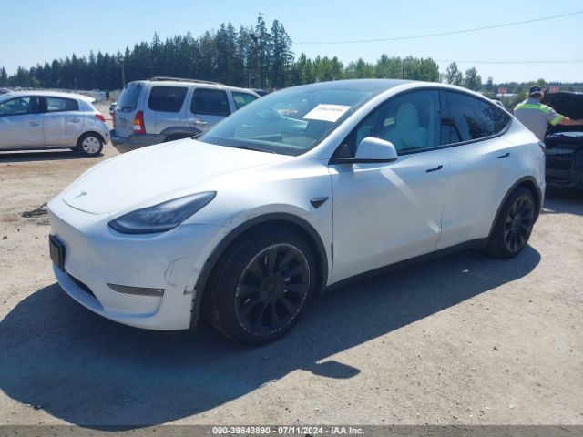 5YJYGDED8MF103997 Tesla Model Y Standard Range Rear-wheel Drive