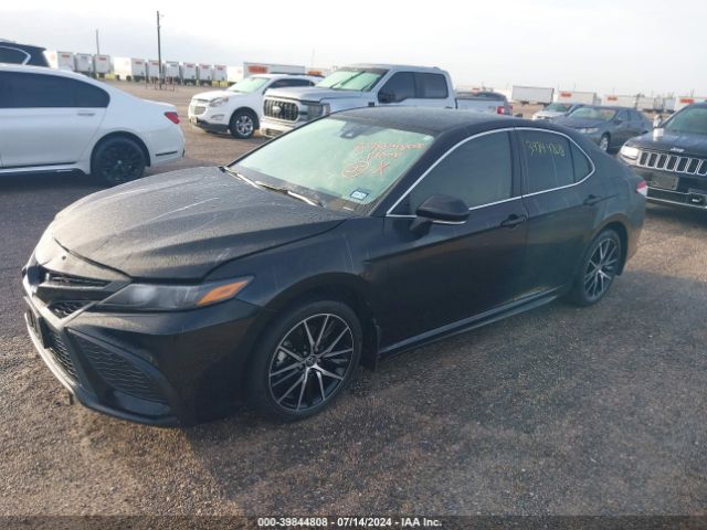 4T1T11AK9PU745568 Toyota CAMRY SE