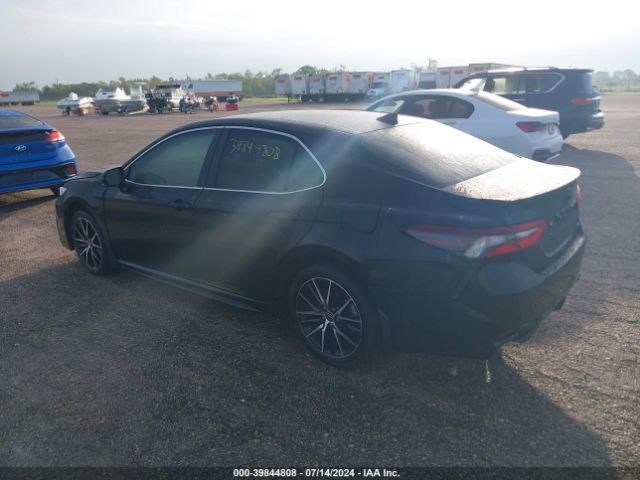 4T1T11AK9PU745568 Toyota CAMRY SE