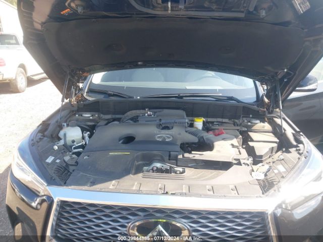 3PCAJ5BA3PF111402 Infiniti Qx50 Luxe