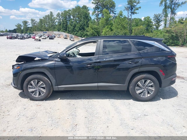 KM8JBCA16PU123341 Hyundai Tucson Hybrid Blue