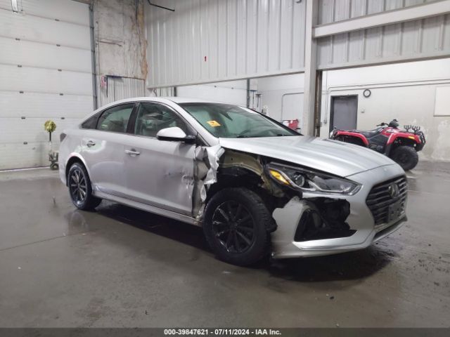 5NPE24AFXKH799110 auction archive image