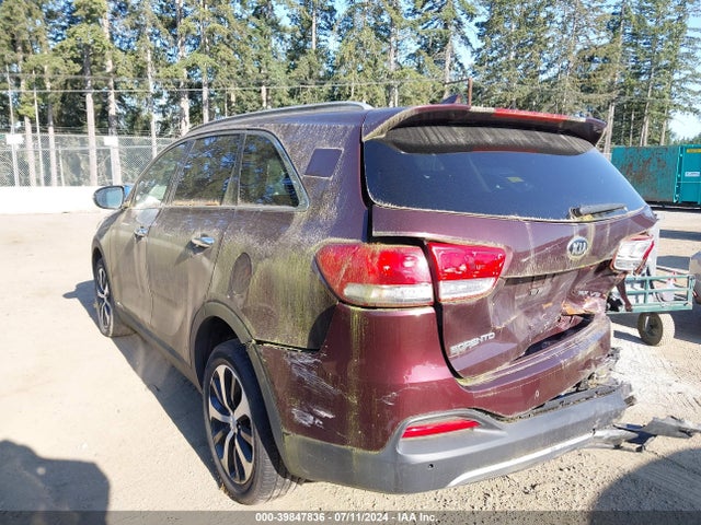 KIA Sorento 3.3l Ex 2017 5XYPHDA57HG235431 Image 3