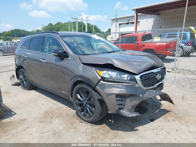 2019 5XYPGDA57KG583224 main image
