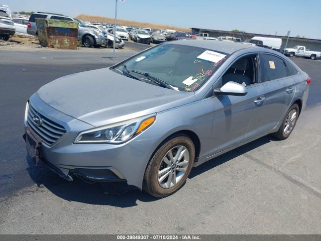 5NPE24AF5GH377009 Hyundai SONATA SE