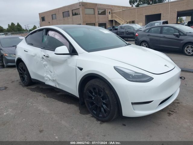 2023 TESLA MODEL Y 7SAYGDEE4PF751899