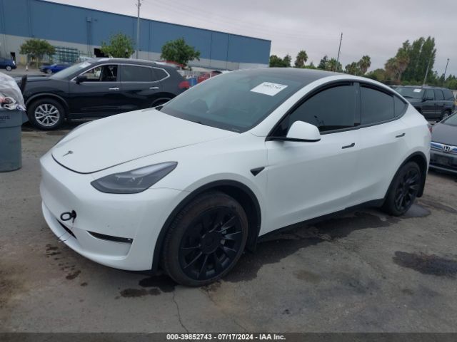 2023 TESLA MODEL Y 7SAYGDEE4PF751899 Photo 1