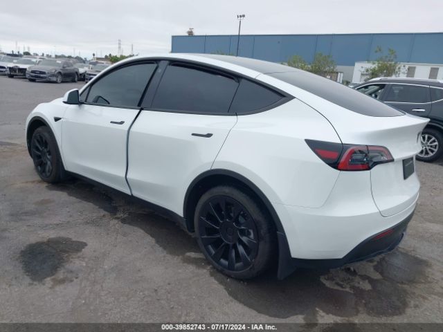 2023 TESLA MODEL Y 7SAYGDEE4PF751899 Photo 2