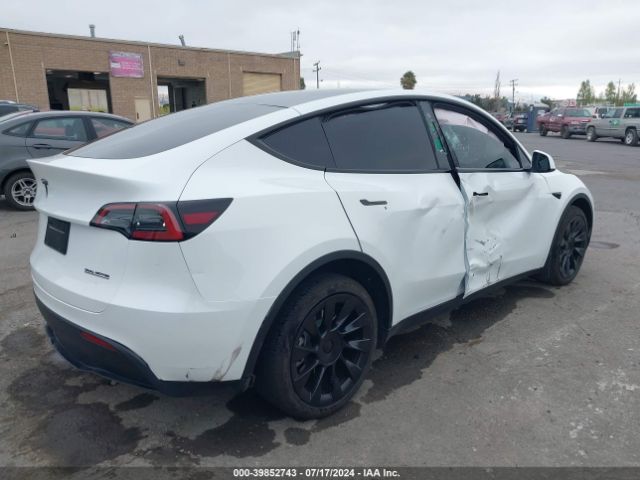 2023 TESLA MODEL Y 7SAYGDEE4PF751899 Photo 3