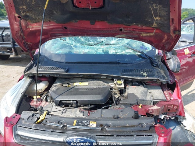 Ford ESCAPE SE 2016 1FMCU9GX8GUA01274 Image 10