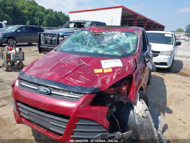 Ford ESCAPE SE 2016 1FMCU9GX8GUA01274 Image 6