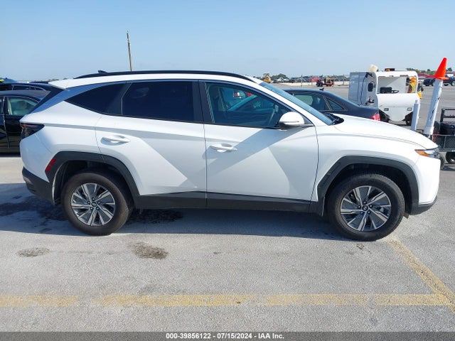 KM8JBCA12PU098003 Hyundai Tucson Hybrid Blue