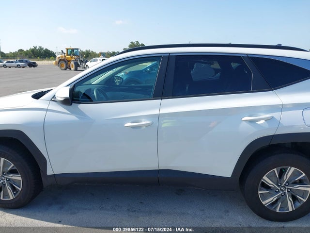 KM8JBCA12PU098003 Hyundai Tucson Hybrid Blue