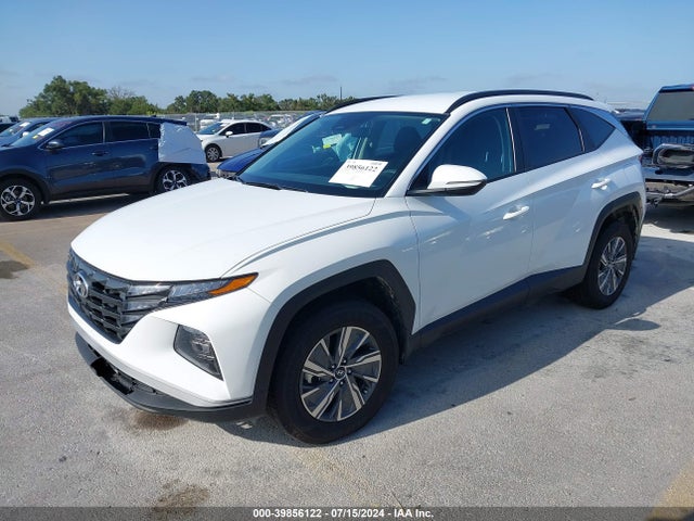 KM8JBCA12PU098003 Hyundai Tucson Hybrid Blue
