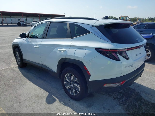 KM8JBCA12PU098003 Hyundai Tucson Hybrid Blue
