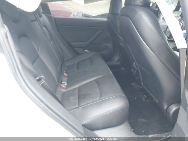 2019 TESLA MODEL 3 5YJ3E1EB6KF359548 Photo 7