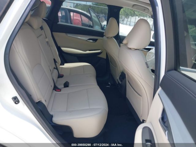 3PCAJ5M14KF137173 Infiniti Qx50 Luxe