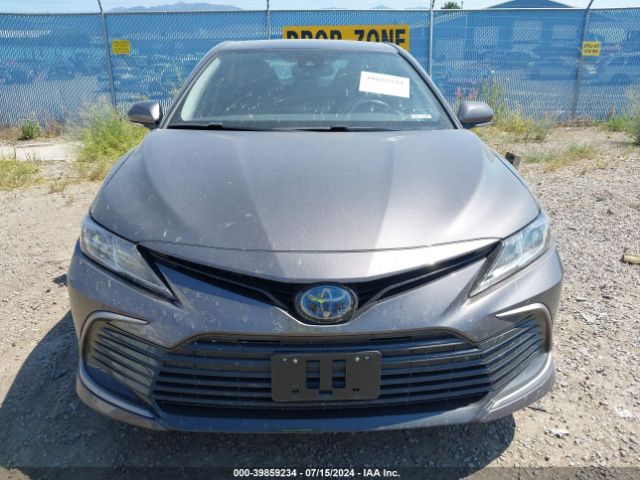 4T1H31AK9MU560061 Toyota Camry Le Hybrid