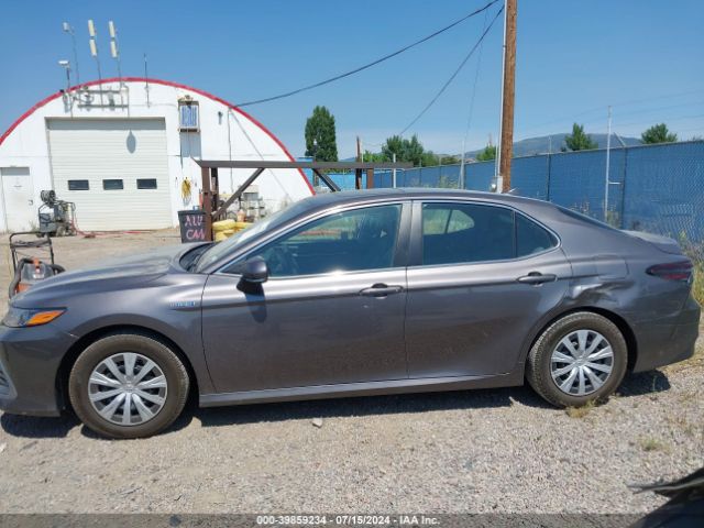 4T1H31AK9MU560061 Toyota Camry Le Hybrid
