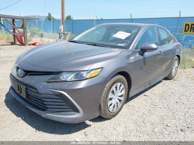 4T1H31AK9MU560061 Toyota Camry Le Hybrid