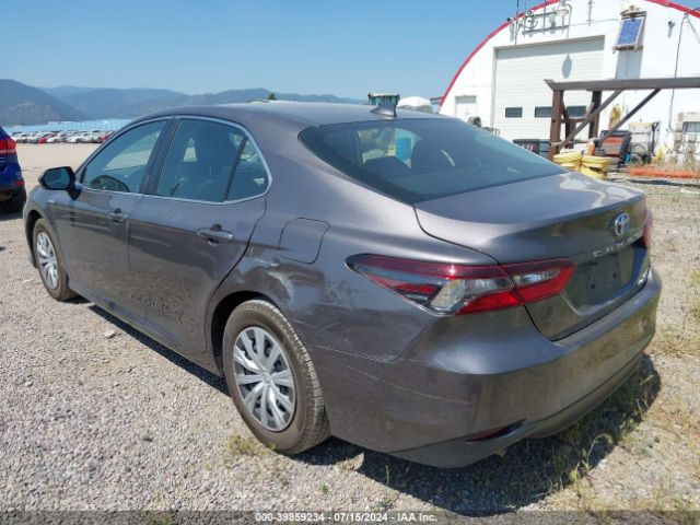 4T1H31AK9MU560061 Toyota Camry Le Hybrid