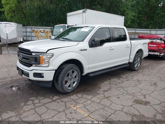 Ford F-150 Xlt 2019 1FTEW1EP8KFA89557 Image 2
