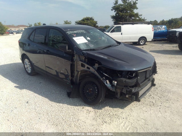 Chevrolet EQUINOX LS 2019 3GNAXHEV9KL300832 Image 1