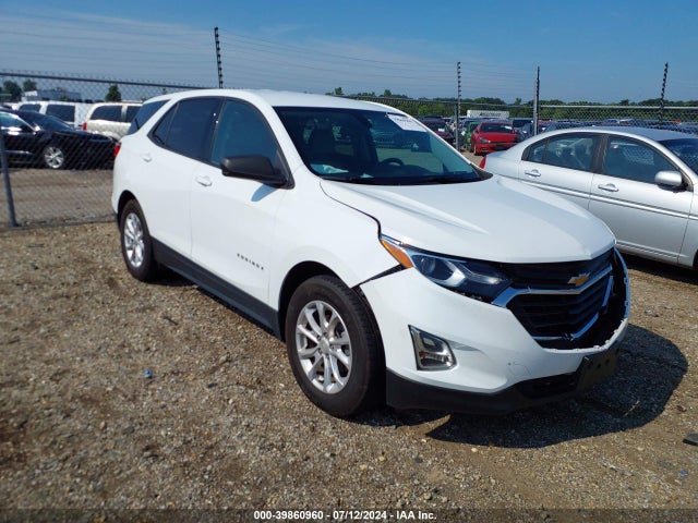 Chevrolet EQUINOX LS 2019 3GNAXHEV3KS547172 Image 1