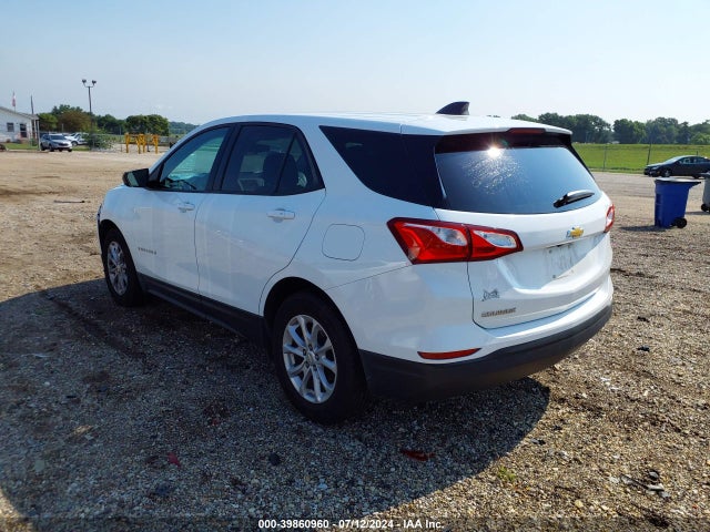 Chevrolet EQUINOX LS 2019 3GNAXHEV3KS547172 Image 3