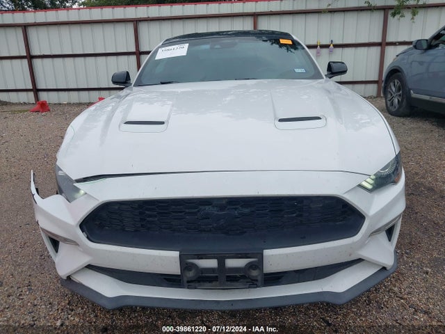 Ford Mustang Ecoboost Fastback 2021 1FA6P8TH2M5117664 Image 12